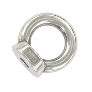 Oogmoer inox A2 M10 DIN582